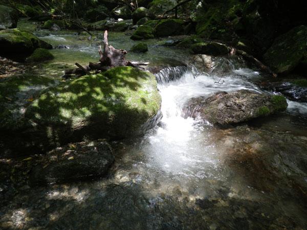本当に綺麗な沢だった